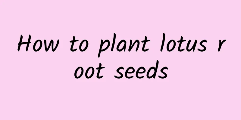 How to plant lotus root seeds