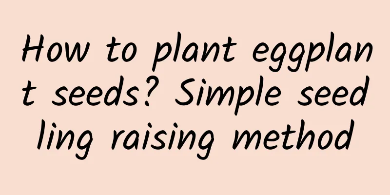 How to plant eggplant seeds? Simple seedling raising method