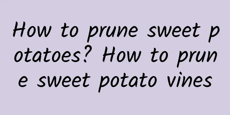 How to prune sweet potatoes? How to prune sweet potato vines