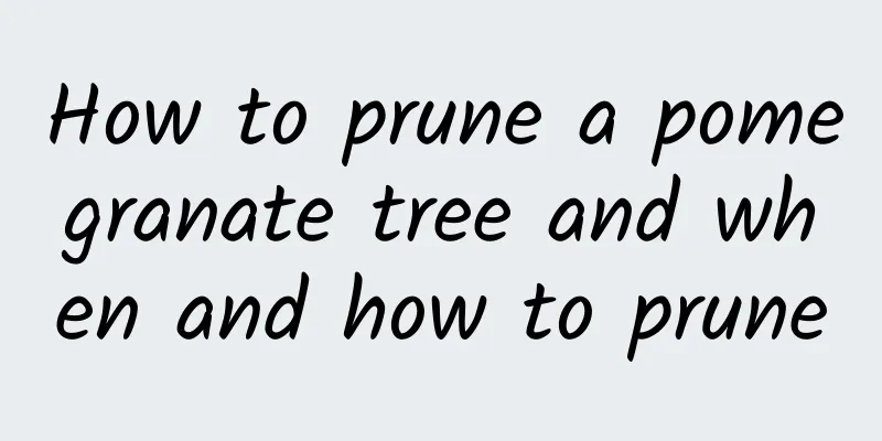 How to prune a pomegranate tree and when and how to prune