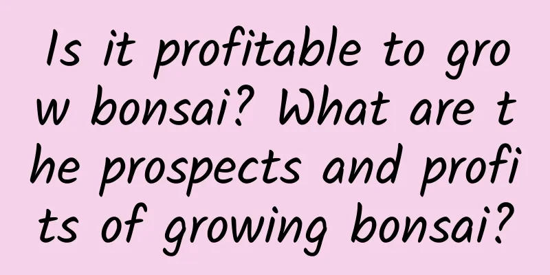 Is it profitable to grow bonsai? What are the prospects and profits of growing bonsai?