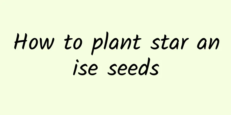 How to plant star anise seeds