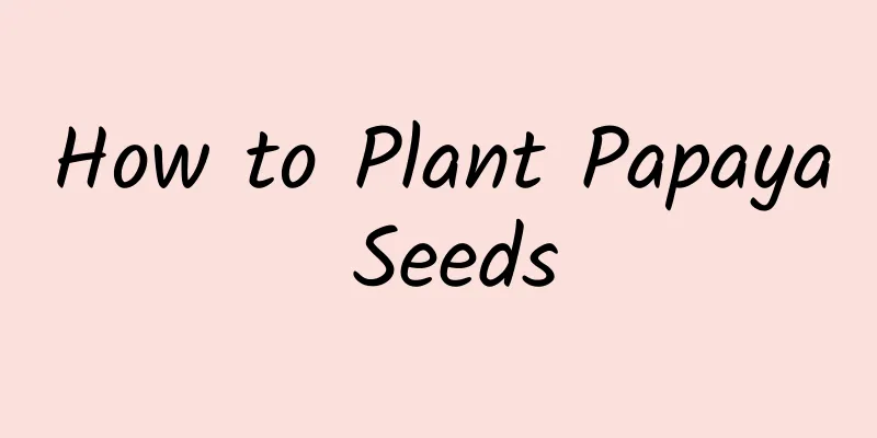 How to Plant Papaya Seeds