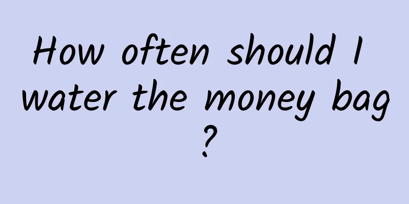 How often should I water the money bag?