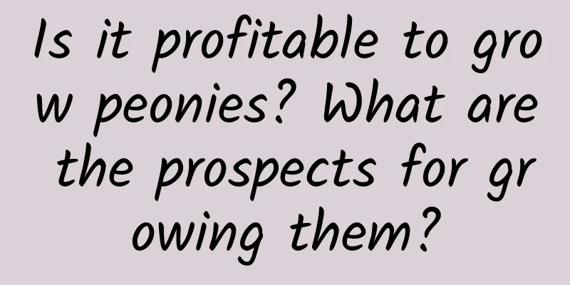 Is it profitable to grow peonies? What are the prospects for growing them?