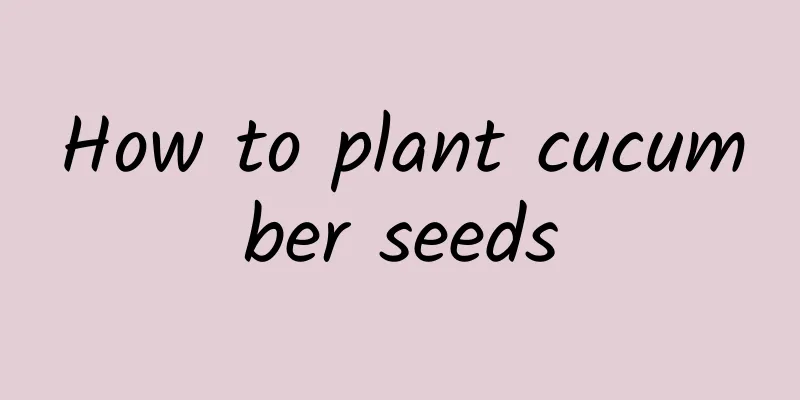 How to plant cucumber seeds