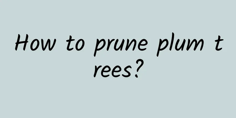 How to prune plum trees?