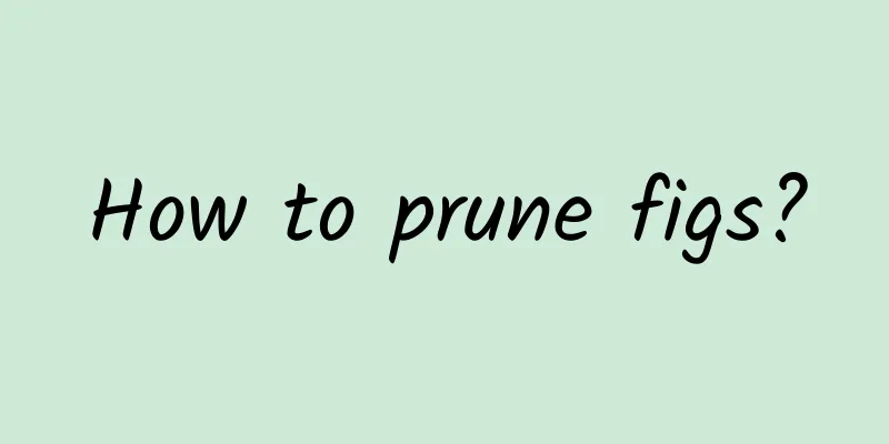 How to prune figs?