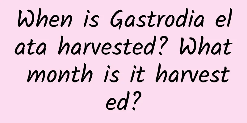 When is Gastrodia elata harvested? What month is it harvested?