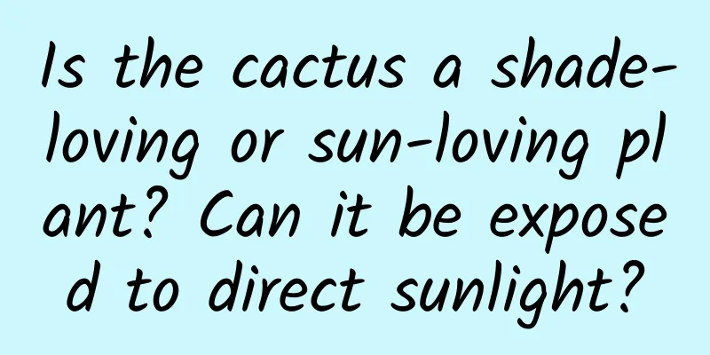 Is the cactus a shade-loving or sun-loving plant? Can it be exposed to direct sunlight?
