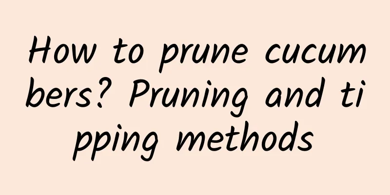 How to prune cucumbers? Pruning and tipping methods