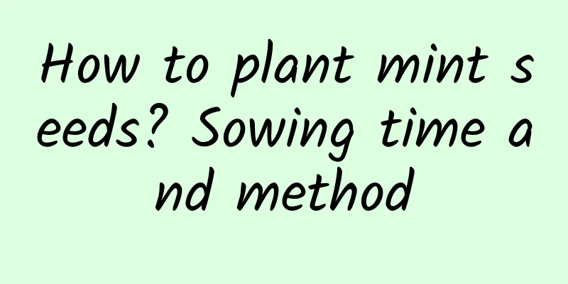 How to plant mint seeds? Sowing time and method