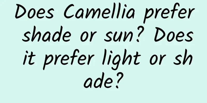 Does Camellia prefer shade or sun? Does it prefer light or shade?