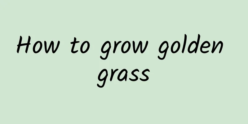 How to grow golden grass