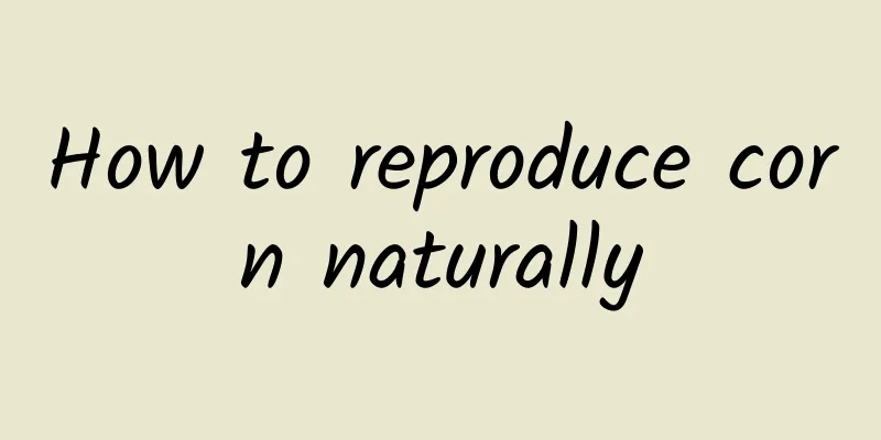 How to reproduce corn naturally