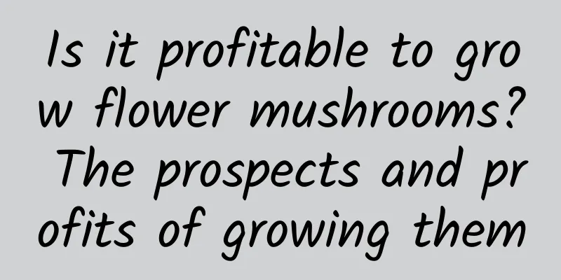Is it profitable to grow flower mushrooms? The prospects and profits of growing them