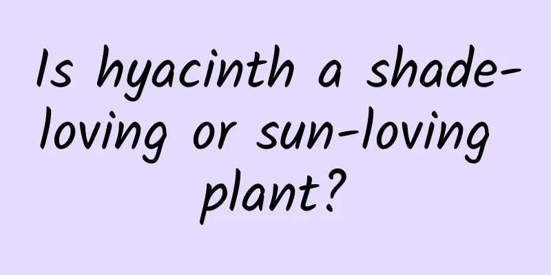 Is hyacinth a shade-loving or sun-loving plant?