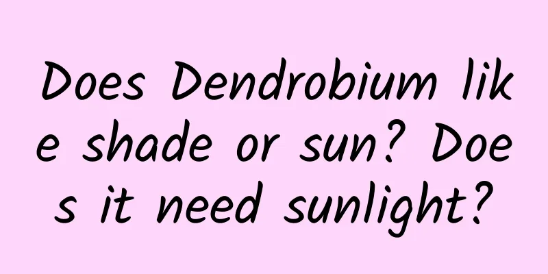 Does Dendrobium like shade or sun? Does it need sunlight?
