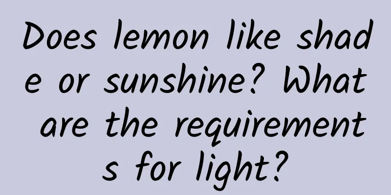 Does lemon like shade or sunshine? What are the requirements for light?