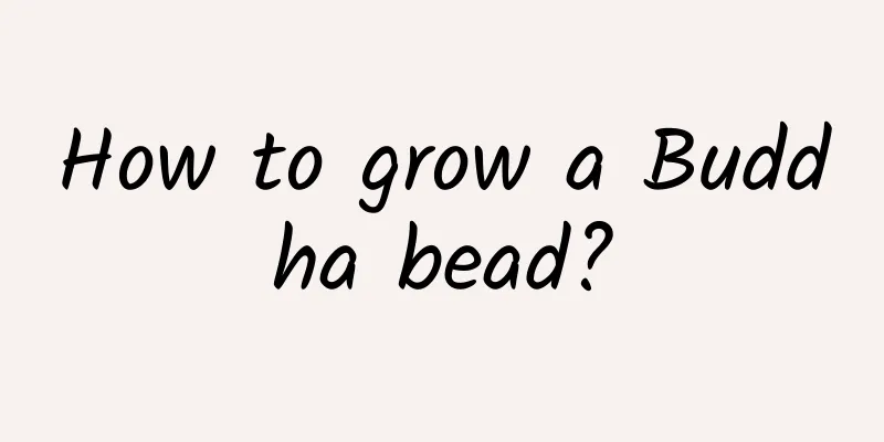 How to grow a Buddha bead?