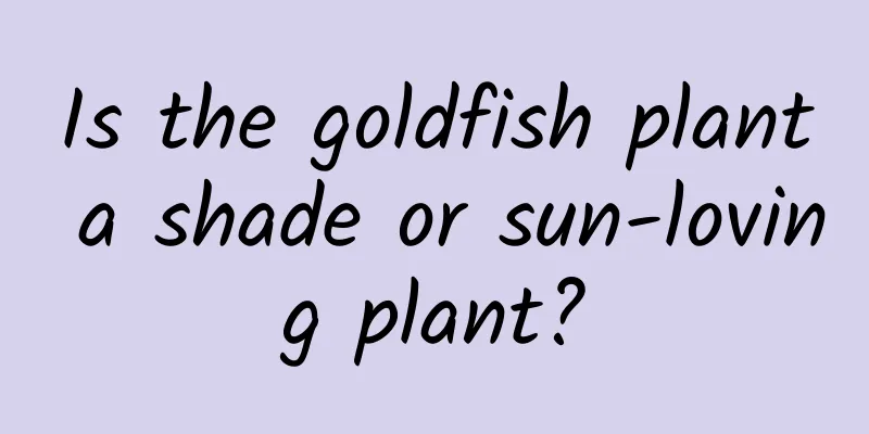Is the goldfish plant a shade or sun-loving plant?