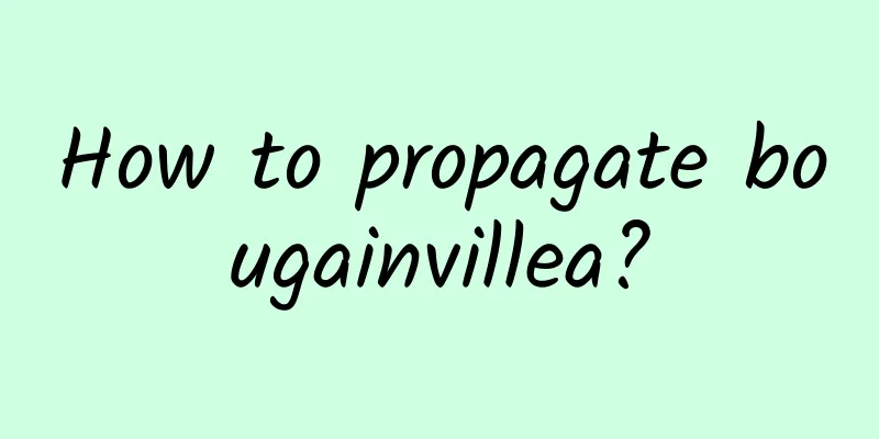 How to propagate bougainvillea?