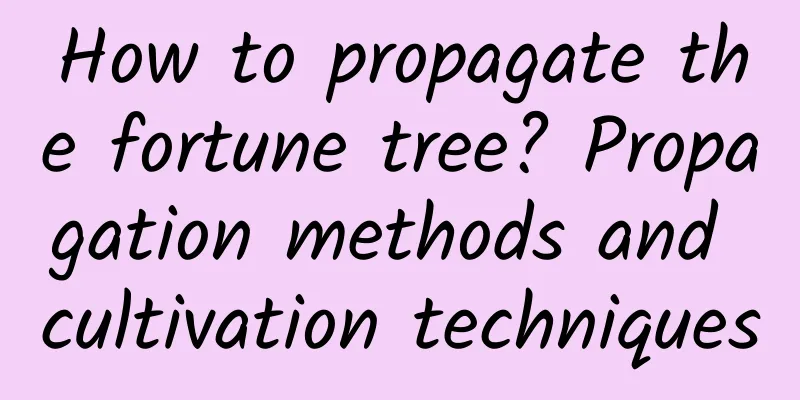 How to propagate the fortune tree? Propagation methods and cultivation techniques