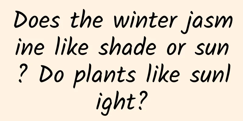 Does the winter jasmine like shade or sun? Do plants like sunlight?