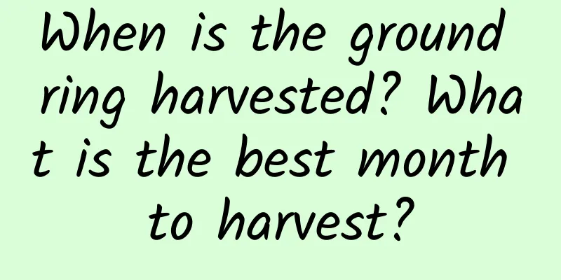 When is the ground ring harvested? What is the best month to harvest?