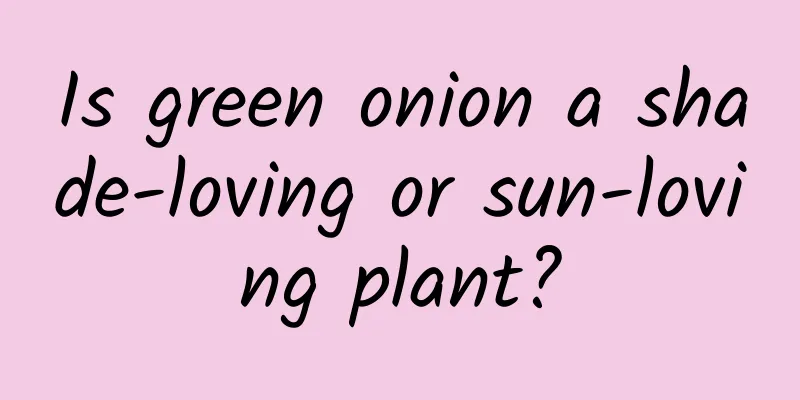 Is green onion a shade-loving or sun-loving plant?
