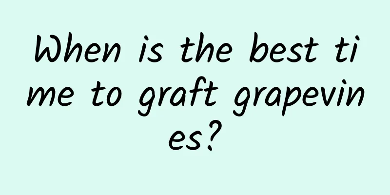When is the best time to graft grapevines?