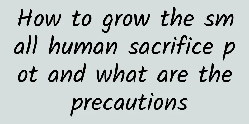 How to grow the small human sacrifice pot and what are the precautions