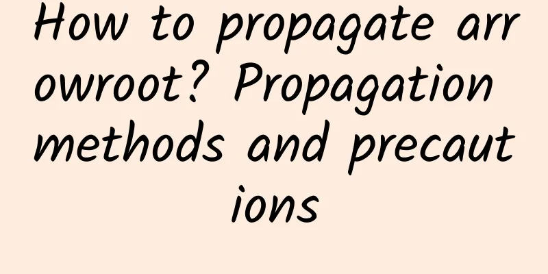 How to propagate arrowroot? Propagation methods and precautions