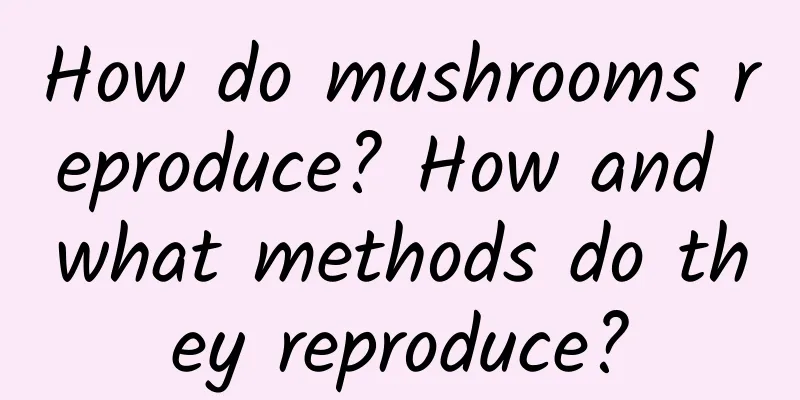 How do mushrooms reproduce? How and what methods do they reproduce?