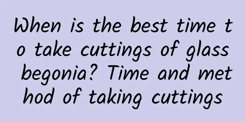When is the best time to take cuttings of glass begonia? Time and method of taking cuttings