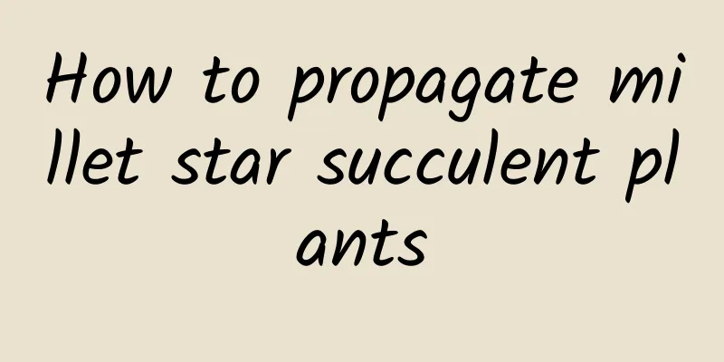 How to propagate millet star succulent plants