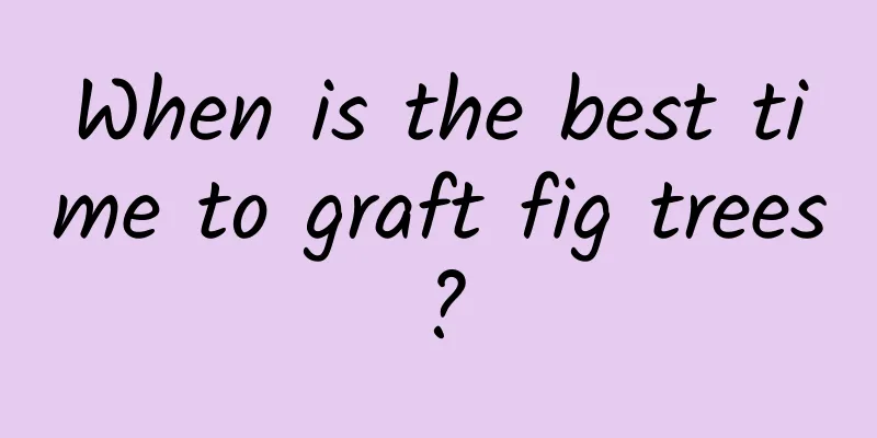 When is the best time to graft fig trees?