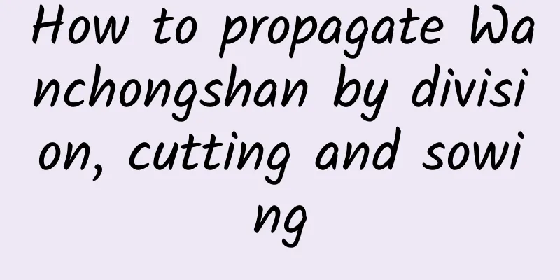 How to propagate Wanchongshan by division, cutting and sowing