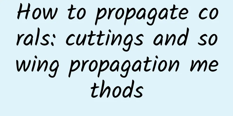 How to propagate corals: cuttings and sowing propagation methods