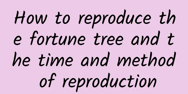 How to reproduce the fortune tree and the time and method of reproduction