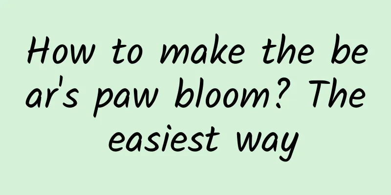 How to make the bear's paw bloom? The easiest way