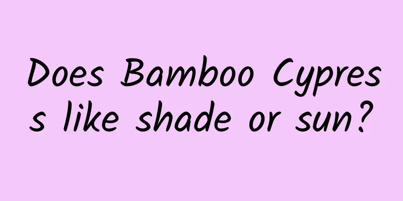 Does Bamboo Cypress like shade or sun?