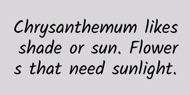 Chrysanthemum likes shade or sun. Flowers that need sunlight.