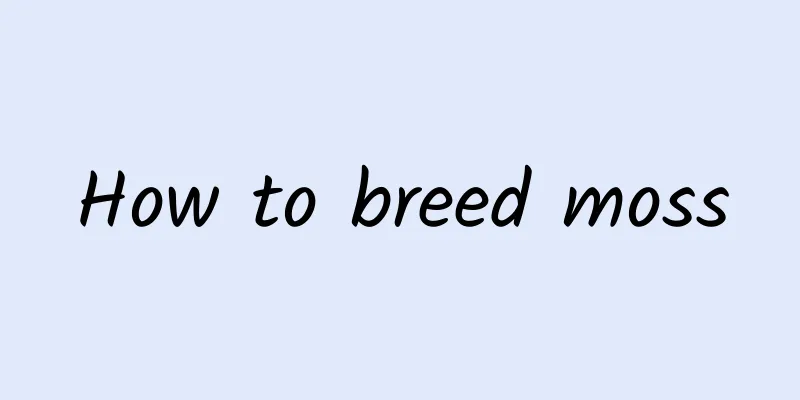 How to breed moss