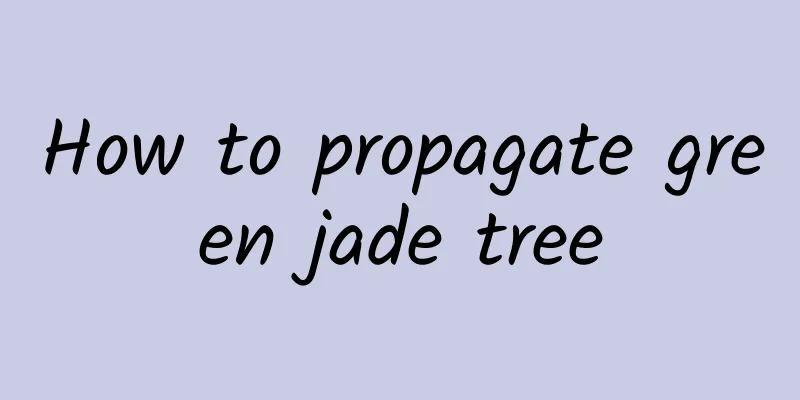 How to propagate green jade tree