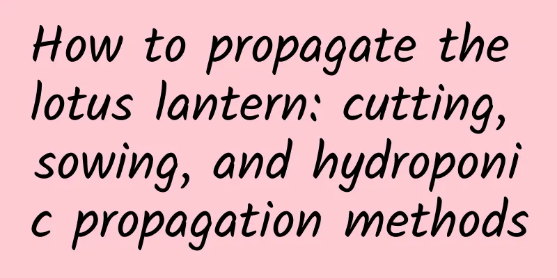 How to propagate the lotus lantern: cutting, sowing, and hydroponic propagation methods