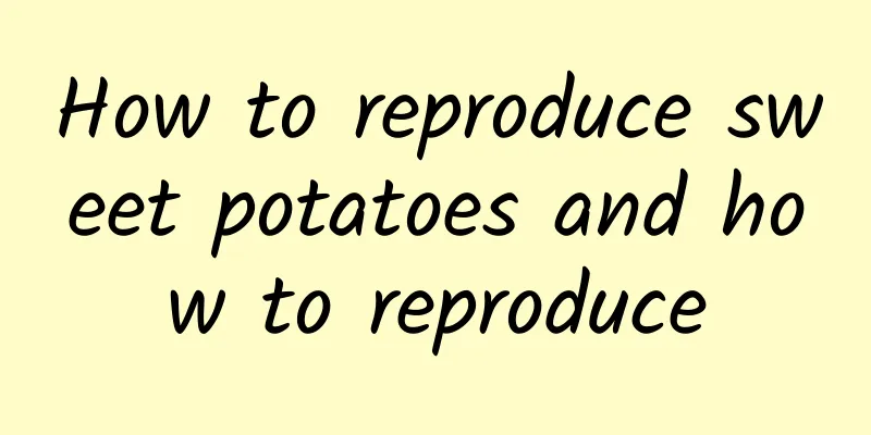 How to reproduce sweet potatoes and how to reproduce