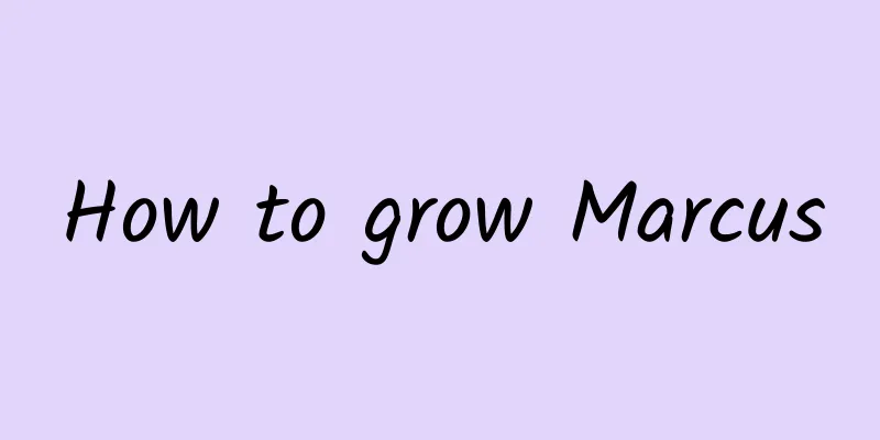 How to grow Marcus