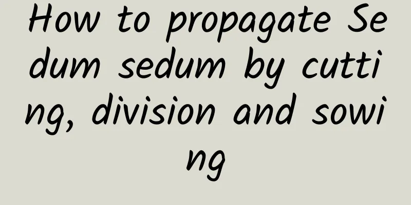 How to propagate Sedum sedum by cutting, division and sowing