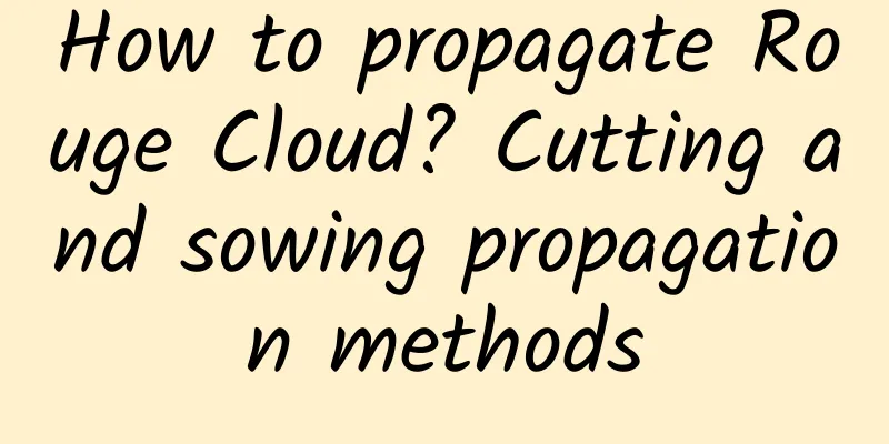 How to propagate Rouge Cloud? Cutting and sowing propagation methods